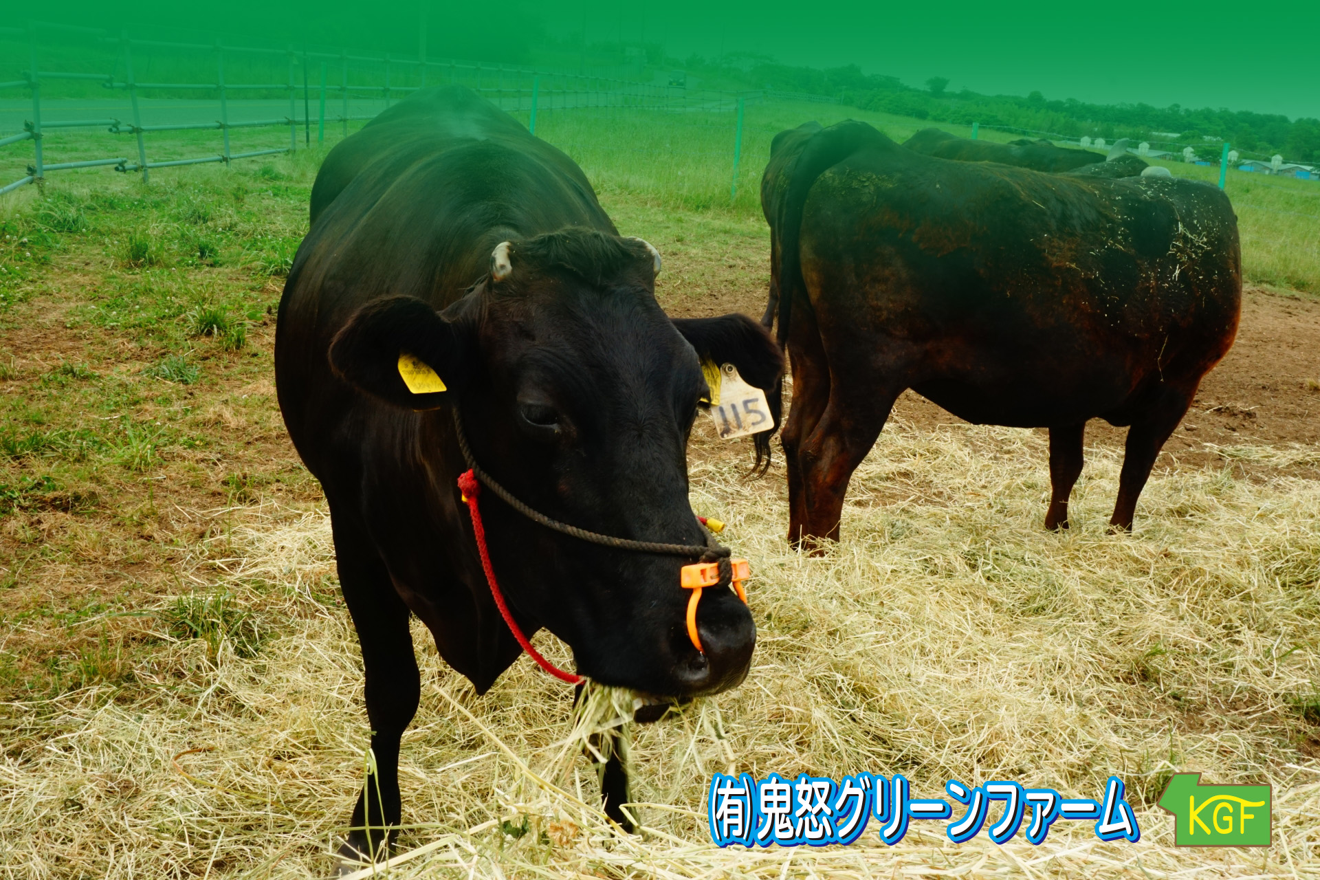 鬼怒グリーンファーム